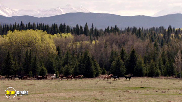A still #2 from Heartland: Series 13 (2019)
