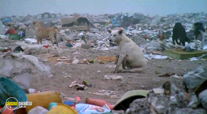 A still #21 from Megacities (1998)