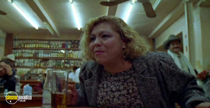 A still #17 from Megacities (1998)