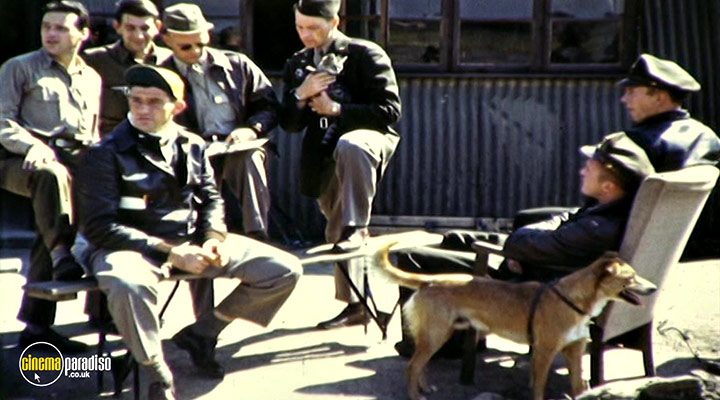 A still #9 from World War II Lost Films: The Air War (2011)