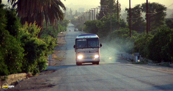 A still #31 from Grandmother's House (1988)