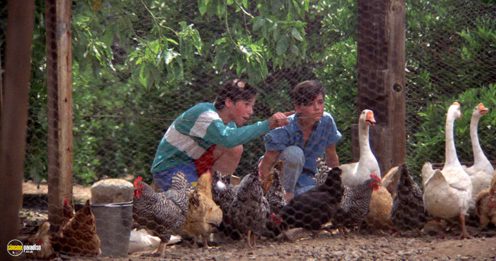 A still #13 from Grandmother's House (1988)