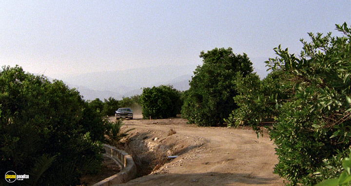 A still #3 from Grandmother's House (1988)