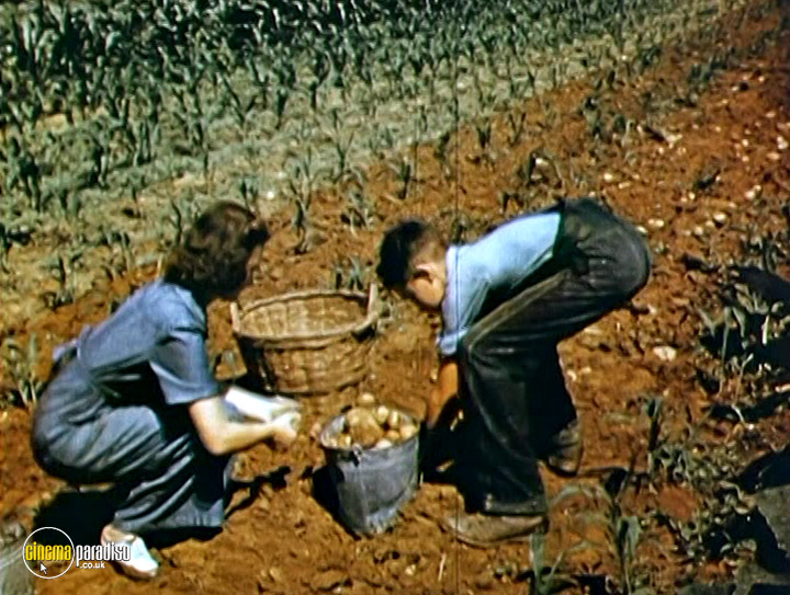 A still #21 from World War II in Colour: Homefront (2005)
