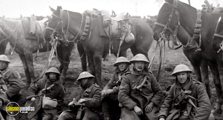 A still #28 from War Horse: The Real Story (2012)