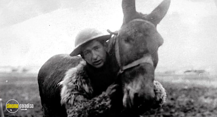 A still #17 from War Horse: The Real Story (2012)