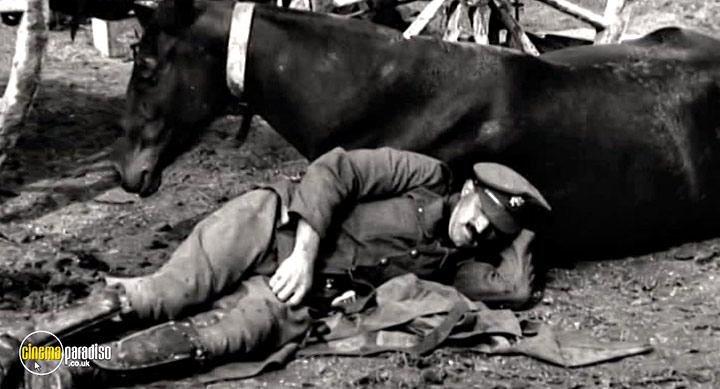 A still #11 from War Horse: The Real Story (2012)