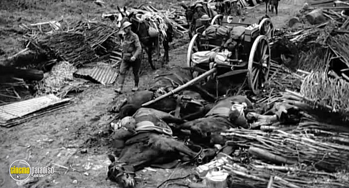 A still #4 from War Horse: The Real Story (2012)