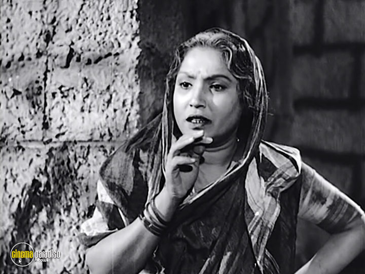 A still #23 from Shree 420 (1955)