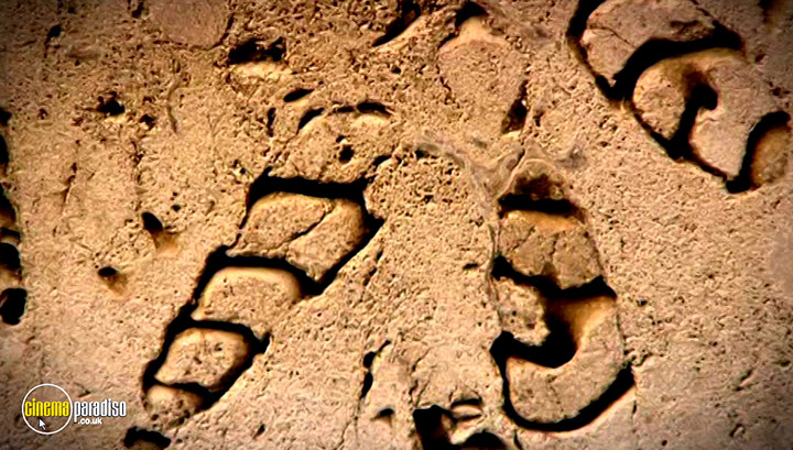 A still #25 from Fossil Detectives: Collection (2008)