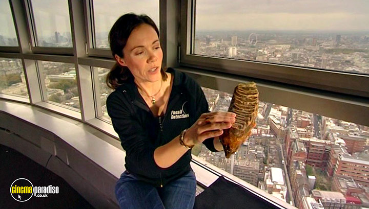 A still #21 from Fossil Detectives: Collection (2008)