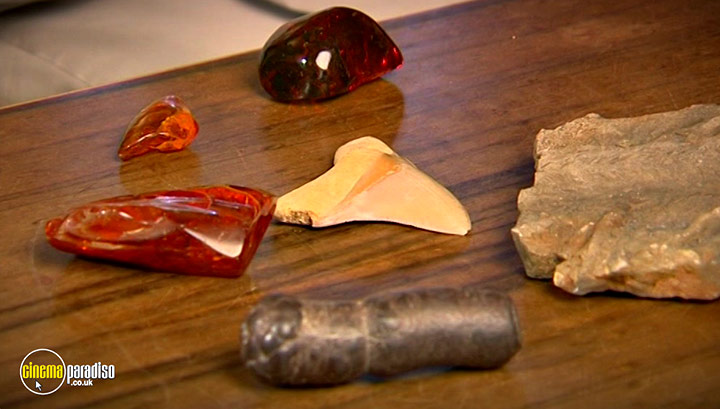 A still #18 from Fossil Detectives: Collection (2008)
