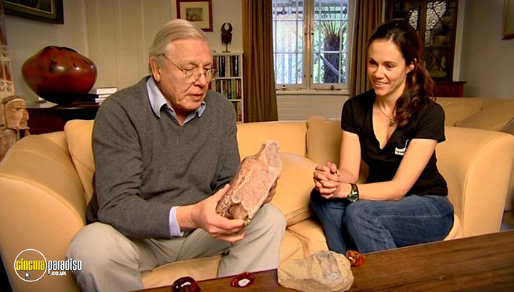 A still #17 from Fossil Detectives: Collection (2008)