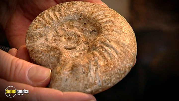 A still #5 from Fossil Detectives: Collection (2008)