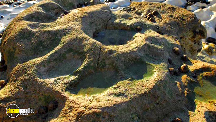 A still #1 from Fossil Detectives: Collection (2008)
