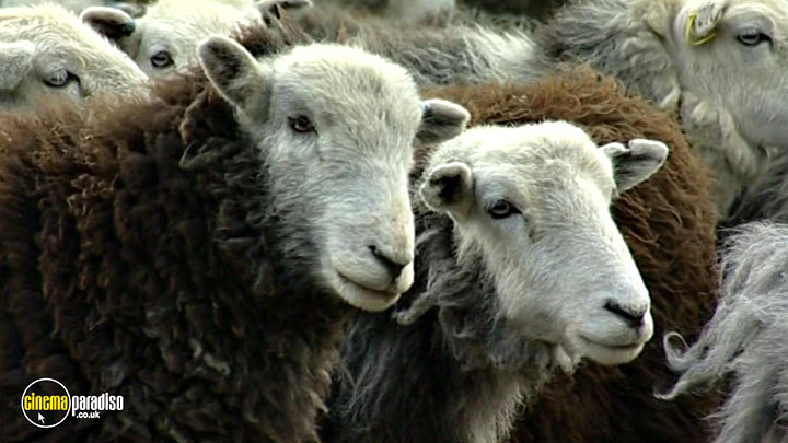 A still #14 from Wainwright Country (2007)