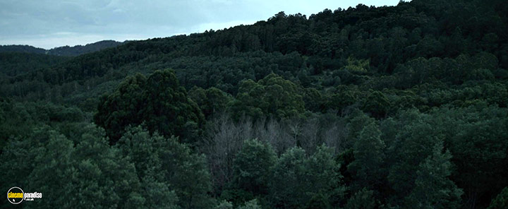 A still #29 from Relic (2020)