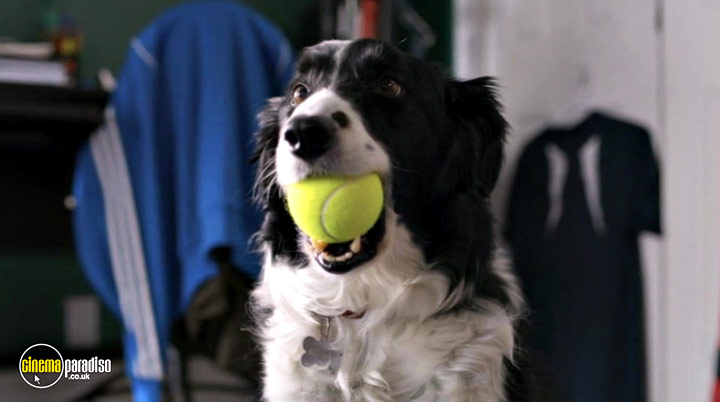 A still #32 from Cats and Dogs: Paws Unite! (2020)