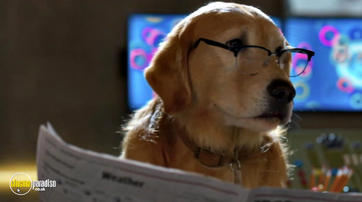 A still #29 from Cats and Dogs: Paws Unite! (2020)