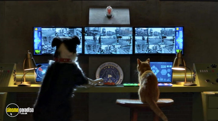 A still #28 from Cats and Dogs: Paws Unite! (2020)