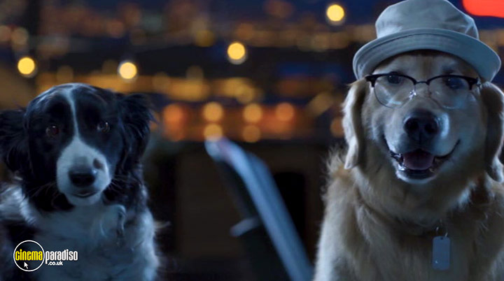 A still #1 from Cats and Dogs: Paws Unite! (2020)