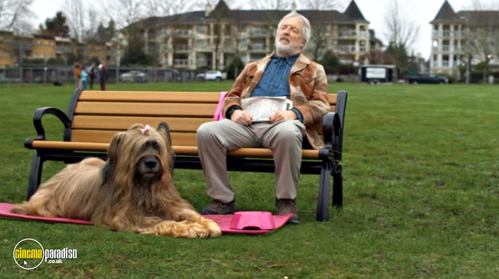 A still #19 from Cats and Dogs: Paws Unite! (2020)