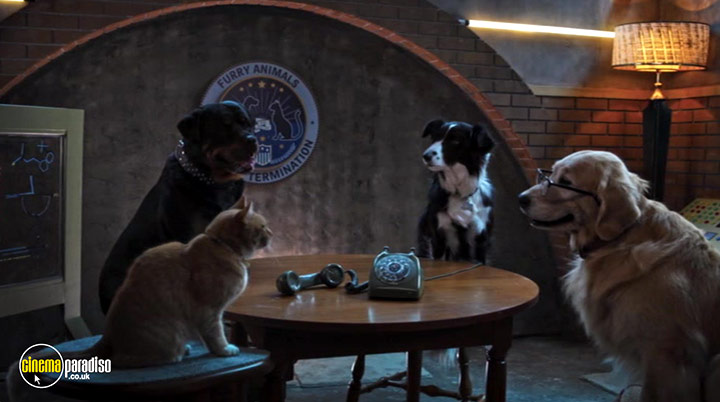 A still #15 from Cats and Dogs: Paws Unite! (2020)