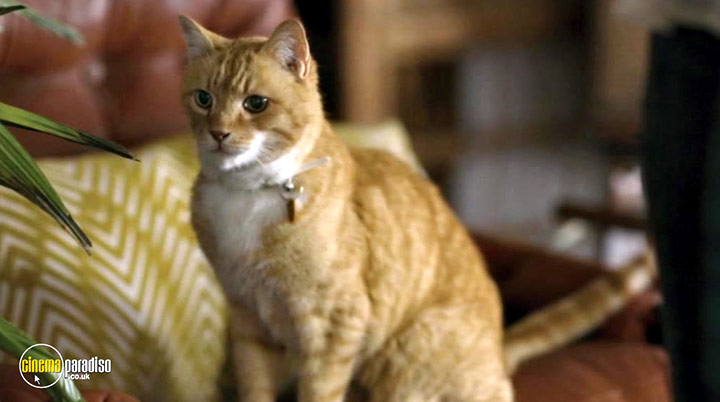A still #12 from Cats and Dogs: Paws Unite! (2020)