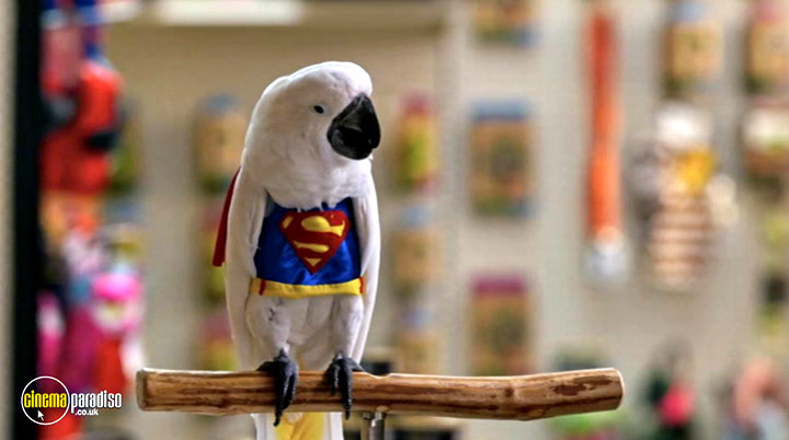 A still #7 from Cats and Dogs: Paws Unite! (2020)