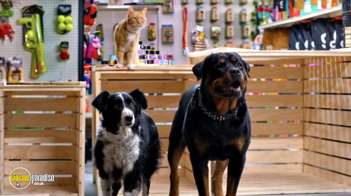 A still #5 from Cats and Dogs: Paws Unite! (2020)