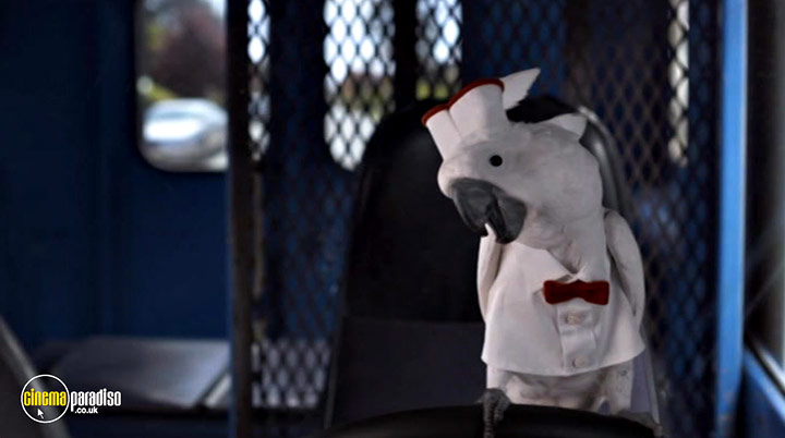 A still #3 from Cats and Dogs: Paws Unite! (2020)