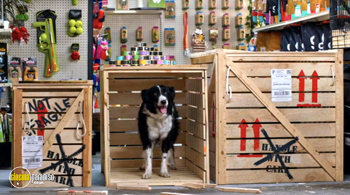 A still #2 from Cats and Dogs: Paws Unite! (2020)