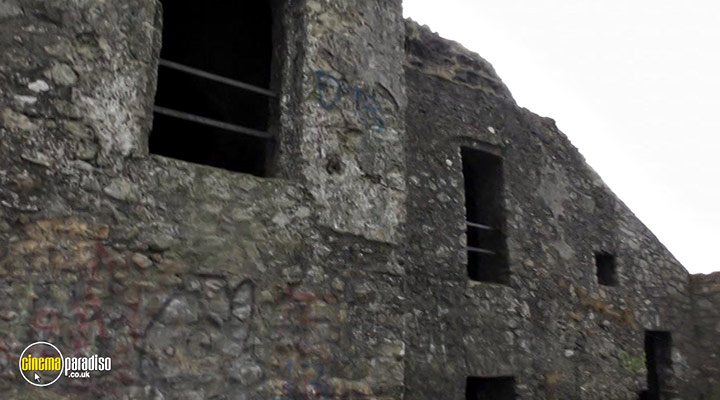 A still #21 from Crone Wood (2016)