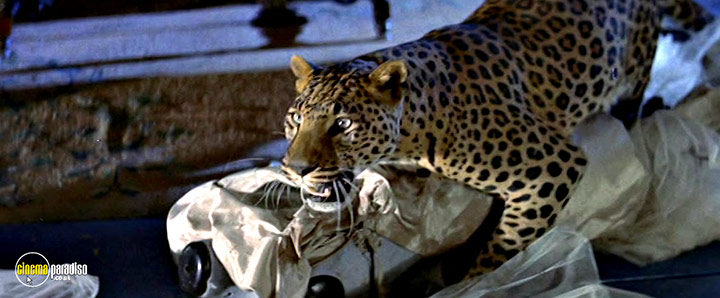A still #6 from This Was a Woman / The Living Idol (1957)