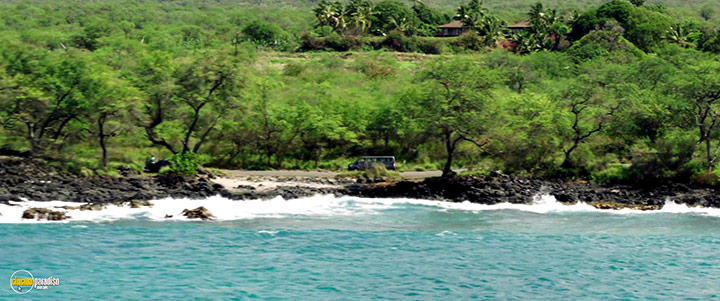 A still #14 from The Resort (2021)