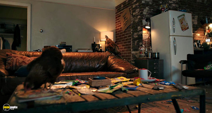 Cinema Paradiso 4K Bluray, Bluray &amp; DVD Rental service