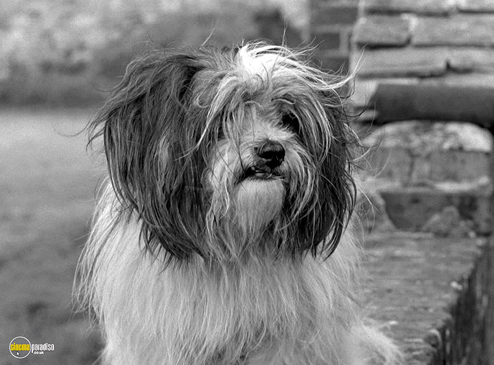 A still #53 from The Strange World of Gurney Slade: Series (1960)