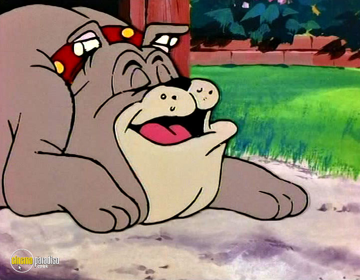 Cinema Paradiso 4K Bluray, Bluray & DVD Rental service