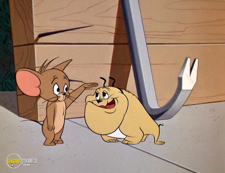 Cinema Paradiso 4K Bluray, Bluray & DVD Rental service