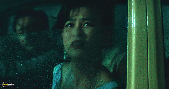 A still #23 from Days of Being Wild (1990)