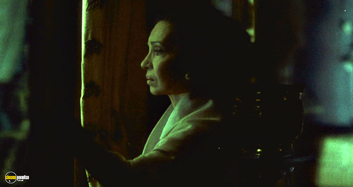 A still #11 from Days of Being Wild (1990)