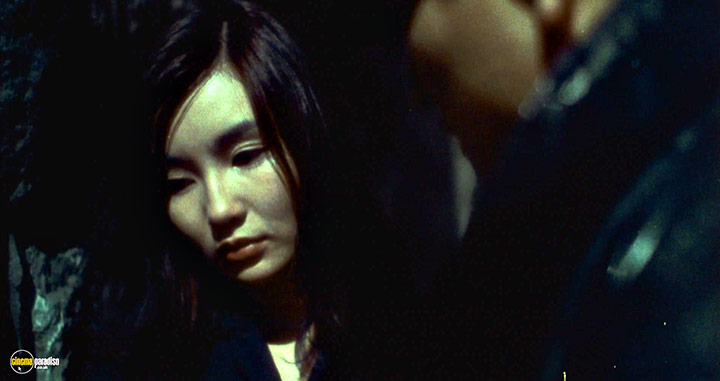 A still #5 from Days of Being Wild (1990)