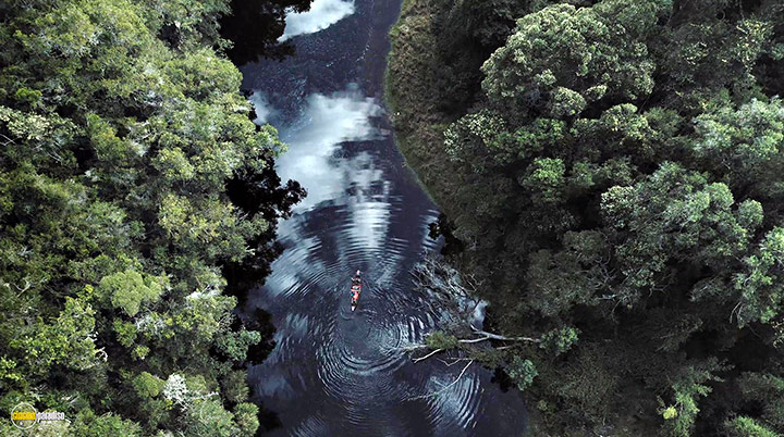 A still #22 from Gaia (2021)
