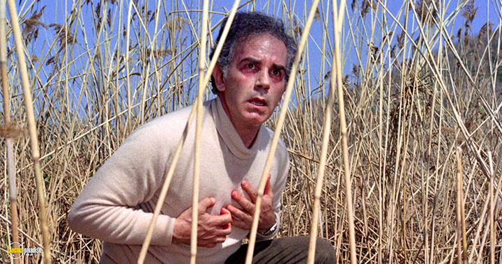 A still #30 from No, the Case is Happily Resolved (1973)