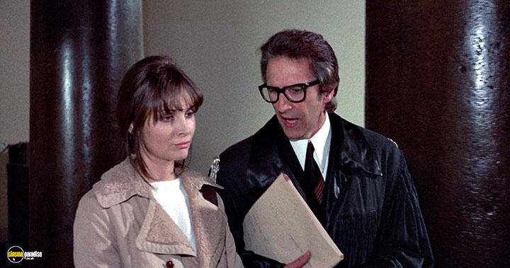 A still #15 from No, the Case is Happily Resolved (1973)