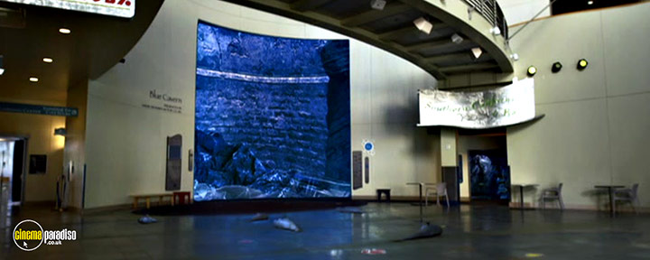 A still #3 from Aquarium of the Dead (2021)