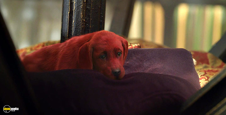A still #4 from Clifford: The Big Red Dog (2021)