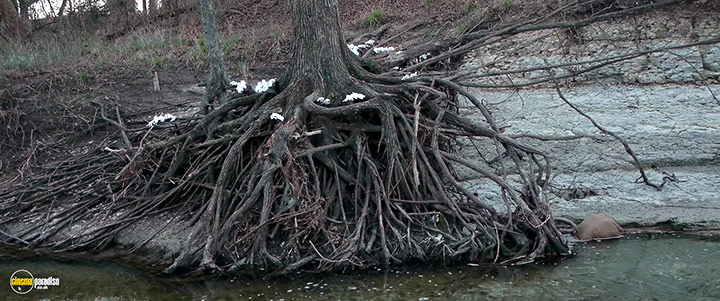 A still #33 from Primer / Upstream Color (2013)