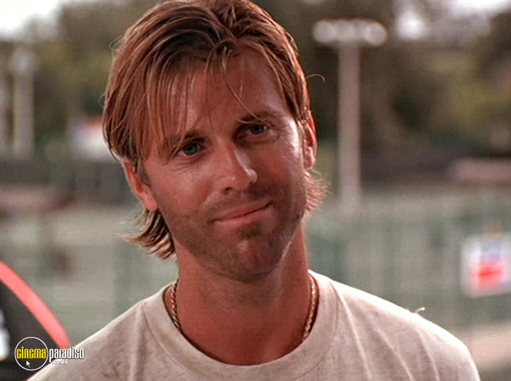 A still #21 from The Break (1995)