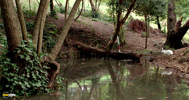 A still #7 from Celia (1989)